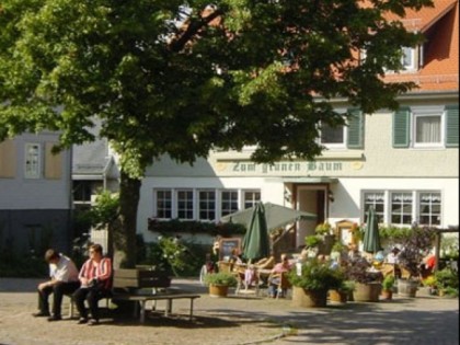 Foto: Zum gr&amp;uuml;nen Baum